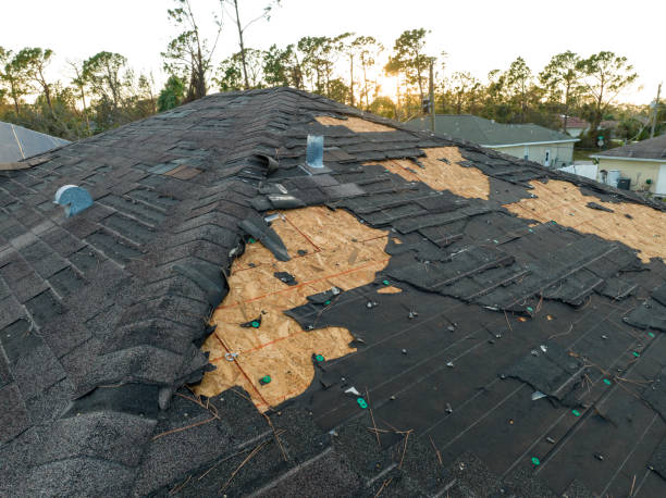 Best Roof Waterproofing  in Chatham, VA